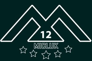 LOGO - 12 MICLUK