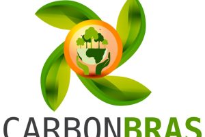 LOGO - CARBONBRAS