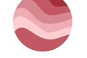 LOGO - ROSA SALMON