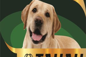 LOGO - TAUAU